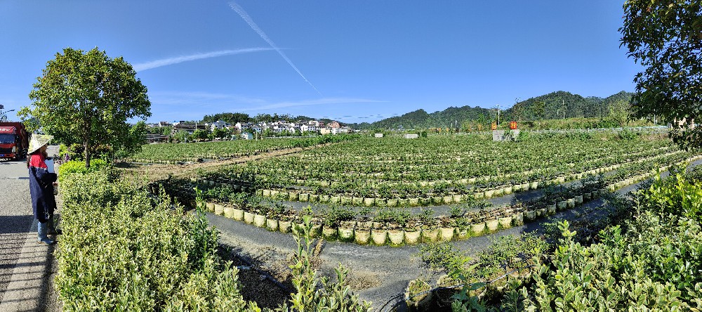 基地展示