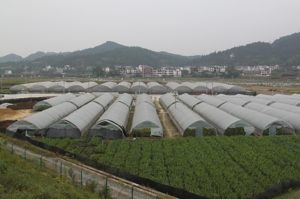 基地展示